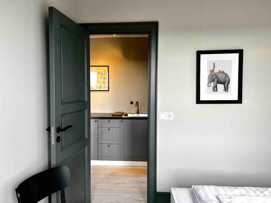 The Greyhouse "Small Apartment" Höfn Zewnętrze zdjęcie